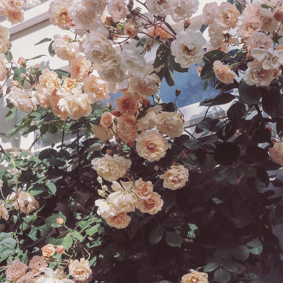 Outside the Colour Format studio