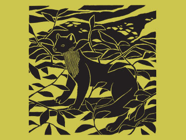 Pine Marten - Lofftwen