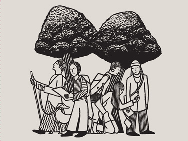 Borderlands - Meadow Arts